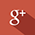 GTRANS Google Plus автовозы